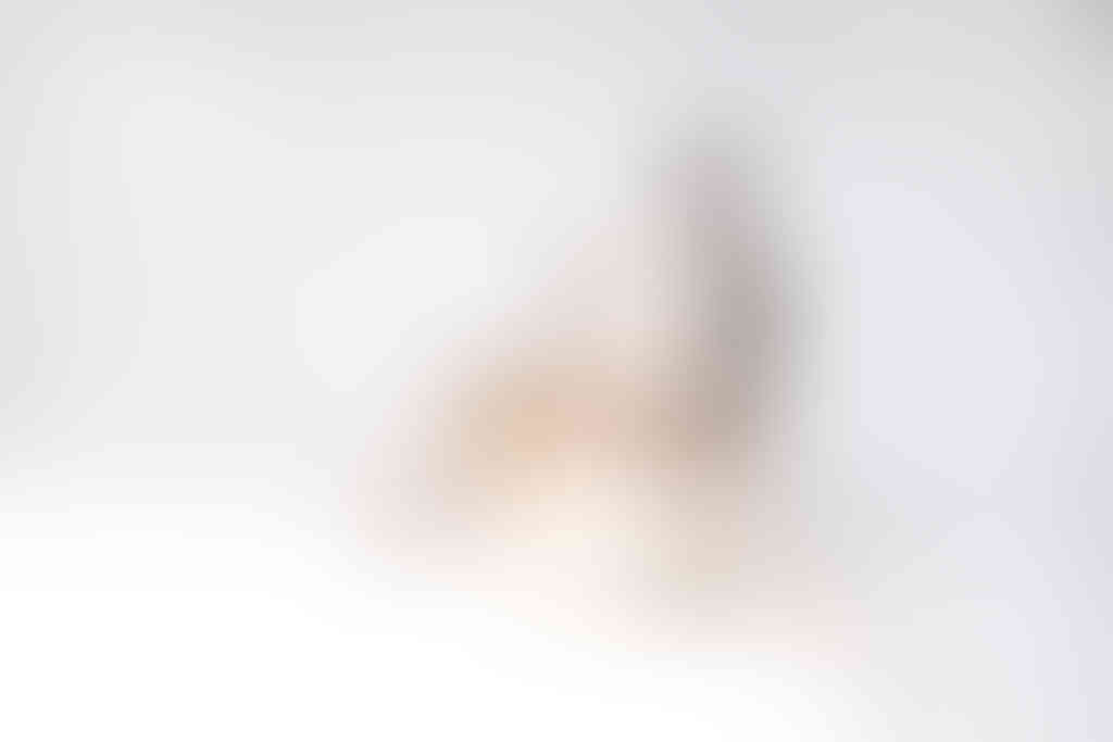 Dog1_mini