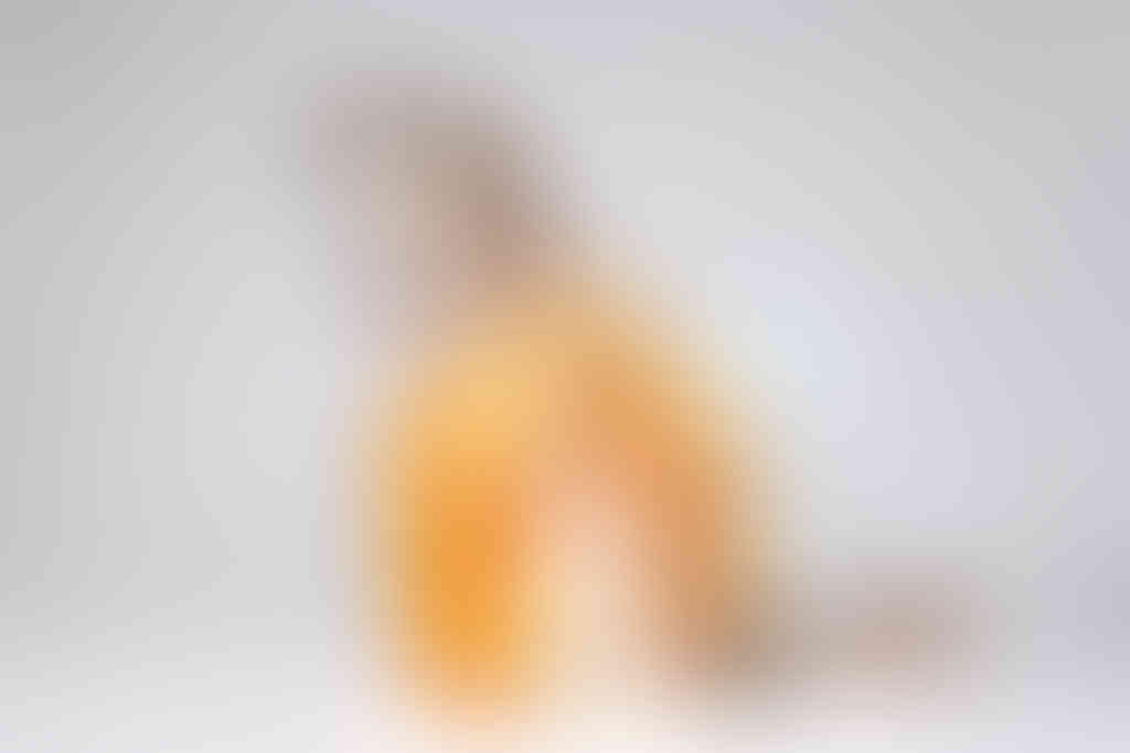 Dog3_mini