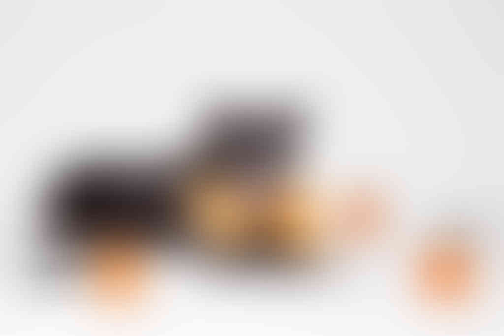 Dog5_mini